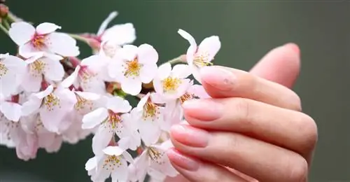 японский маникюр