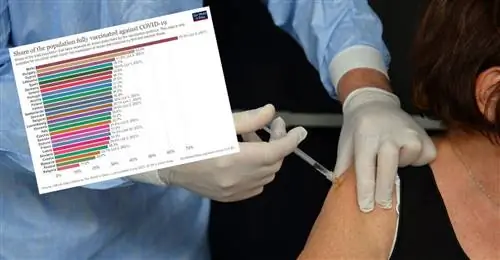 Вакцинация против COVID-19 в Европе. Как поживает Польша? Вакцинация против COVID-19 в Европе. Как поживает Польша?
