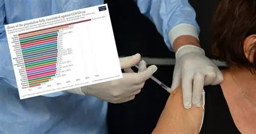 Вакцинация против COVID-19 в Европе. Как поживает Польша? ПОСЛЕДНИЙ РЕЙТИНГ