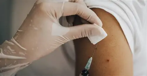 Вакцинация против COVID-19