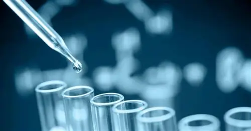 Польское открытие: Рак посылает «вредоносное ПО» в лимфатические узлы