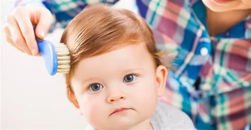 жалюзи 376975774