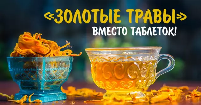 Китайские травы и их использование в лечебных целях