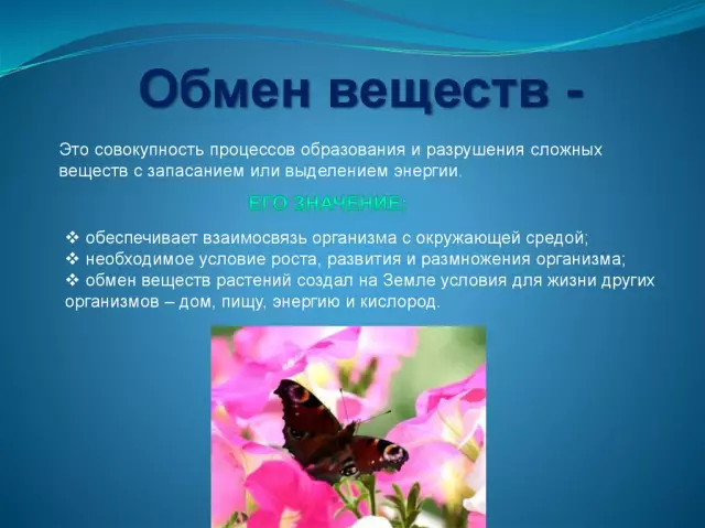 3 комбинации, которые тормозят обмен веществ