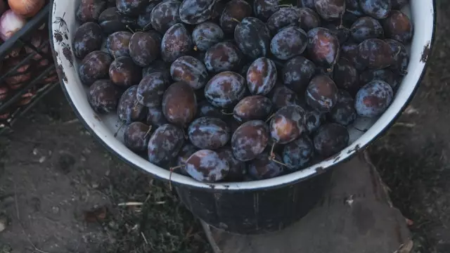 Пища, которая защищает женщин от остеопороза