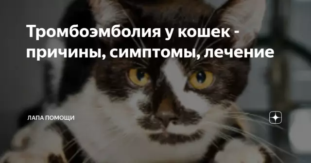 Тромбоэмболия у детей: что является основным фактором риска?