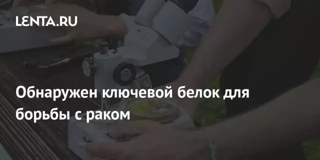 Ключевой белок для здоровья сердца