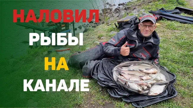Греческие Ортопедические Хирурги ведут в трудных обстоятельствах