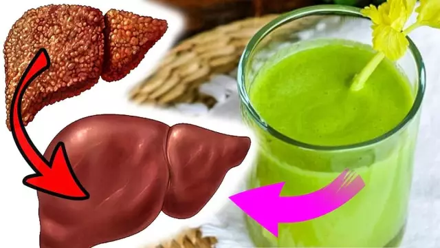 Шесть органов в теле, которые, как утверждает медицина, бесполезны