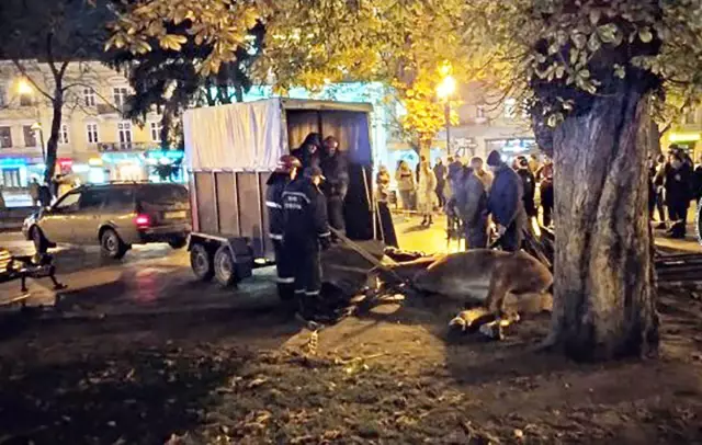 Приостановлен арест врачами, которые оперировали 80-летнего ребенка с неправильной ногой