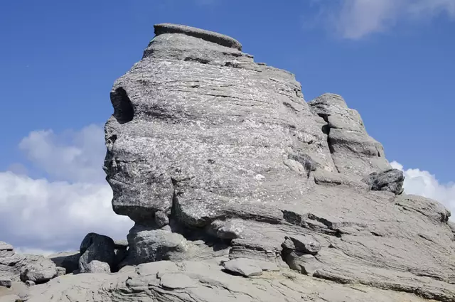 Мамочка переворачивает историю оспы