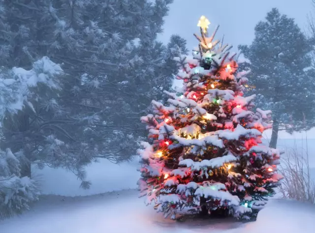 Меланхолия праздников. Почему появляется Рождество?