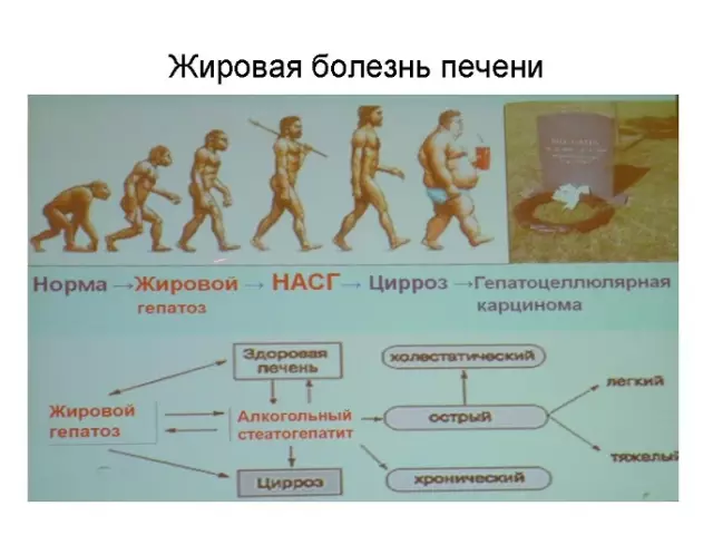 Фруктовый щит против метаболического синдрома