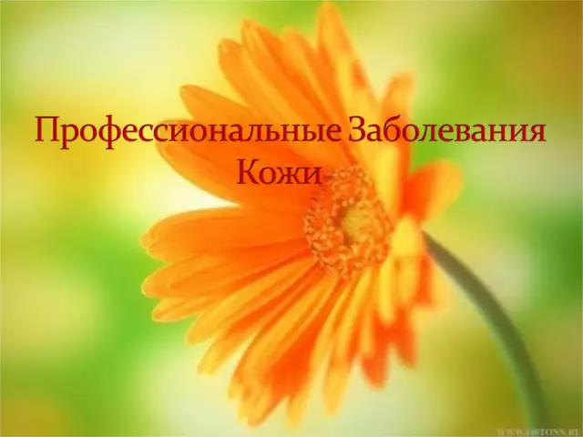 Атеросклероз: роль инфекций в возникновении заболевания