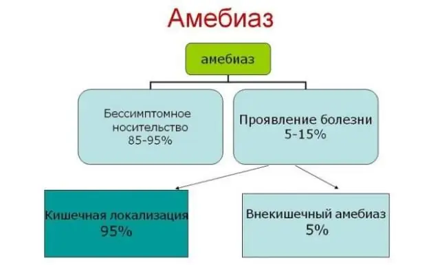Лекарства от синусита: лекарства для лечения острого & хронического синусита