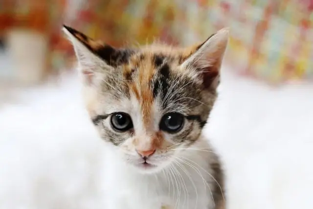 Как РА может повлиять на ваши глаза