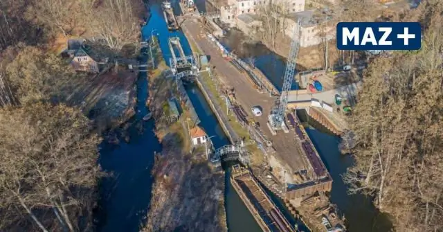 Триплоидия: что нужно знать