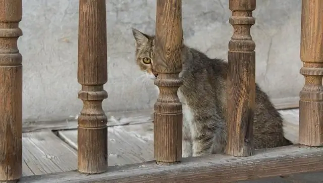 Дефекты коагуляции: их симптомы, причины и лечение