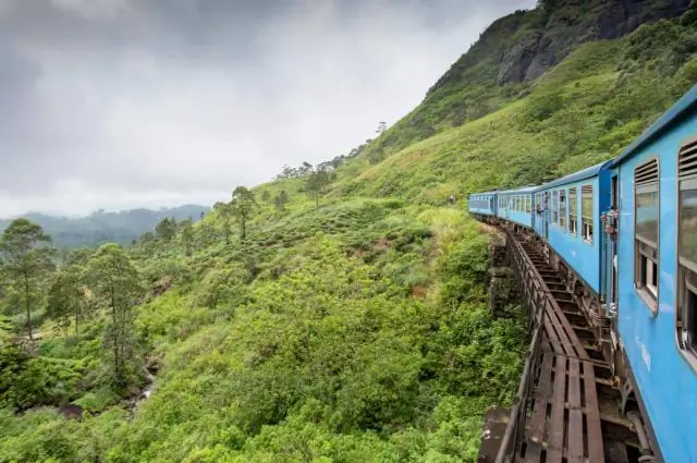 Японский энцефалит: что нужно знать