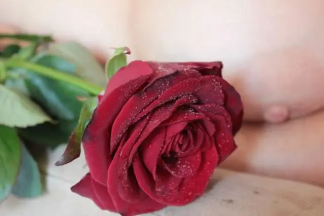 Мастэктомия (операция по удалению груди): типы, чего ожидать, восстановление