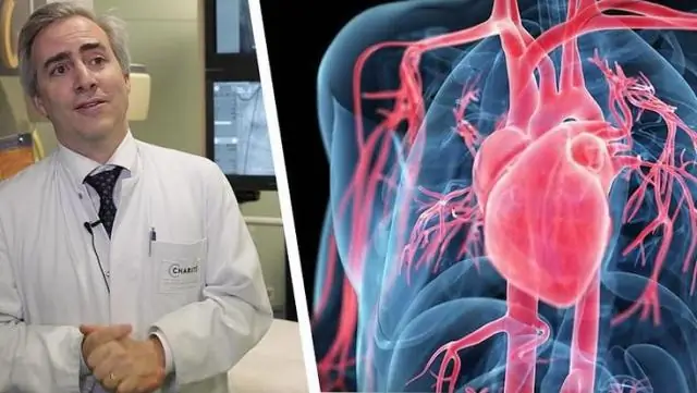 Миелопролиферативные заболевания: симптомы, причины, диагностика & Лечение