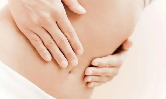 Связь между здоровьем кишечника и раком молочной железы