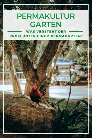 Колоректальный рак: реальные советы, которые сделают вашу жизнь проще