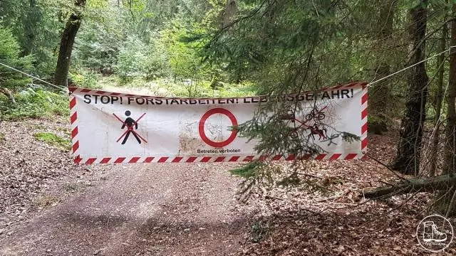 Как предотвратить облысение до того, как оно начнется