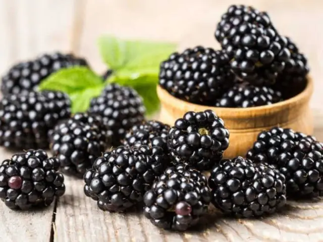 Как предотвратить залысины до того, как они появятся