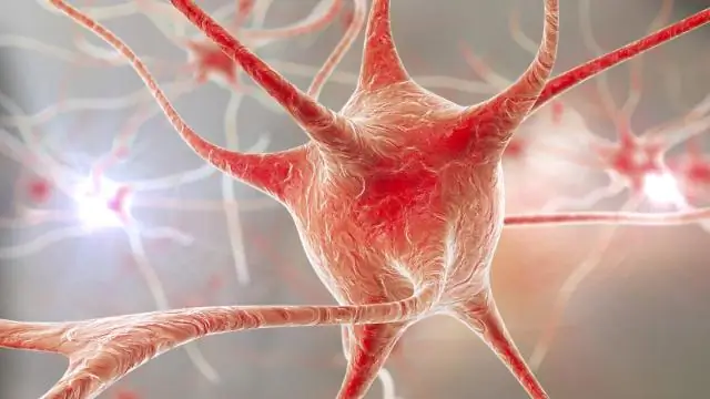 Диабетическая невропатия: виды, симптомы, профилактика, лечение