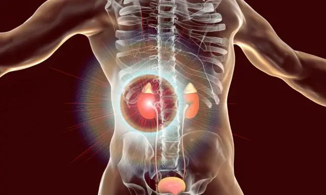 Диабет и болезни сердца: как диабет влияет на сердце