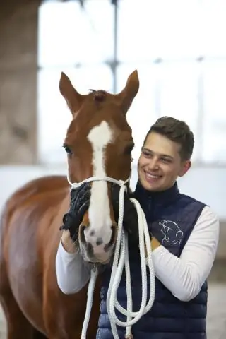 Виды клетчатки и их польза для здоровья