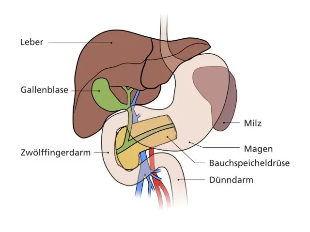 Что такое некротический панкреатит? Симптомы, причины и многое другое