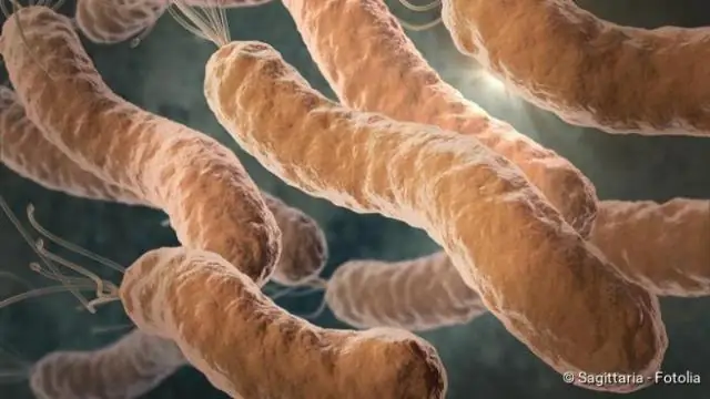 Эрозии толстой кишки: язвы по многим причинам