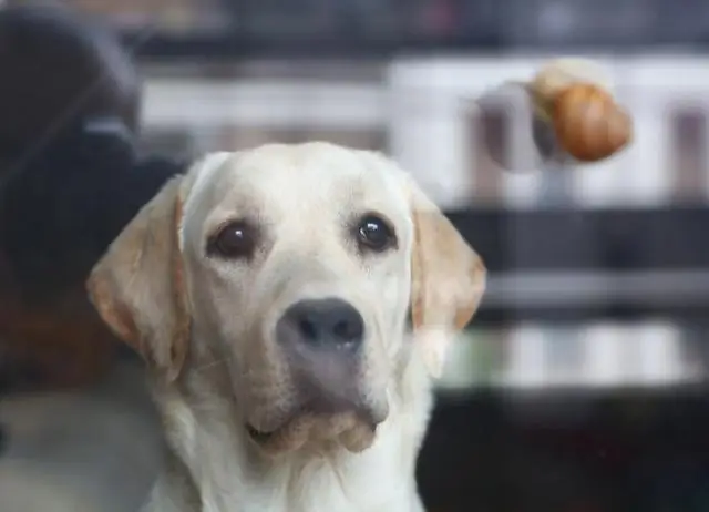 Травмы на тренировках: профилактика и лечение