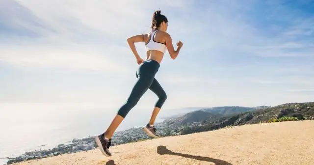 Что нужно есть перед тренировкой?