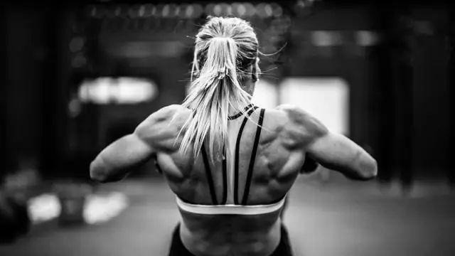 Антибиотики: что это такое, как их принимать, побочные эффекты