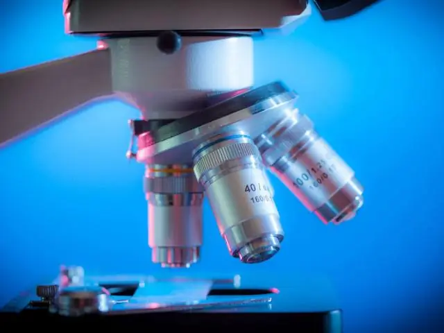 Тест культуры крови: цель, процедура, результаты