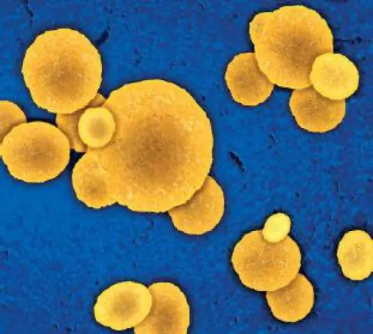 MRSA и другие внутрибольничные инфекции: снижение рисков