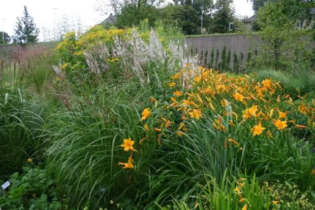 Ларри Кинг ведет 25-летие новостей о здоровье