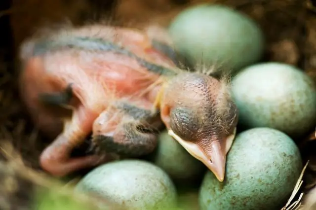 Слишком стара, чтобы быть мамой?