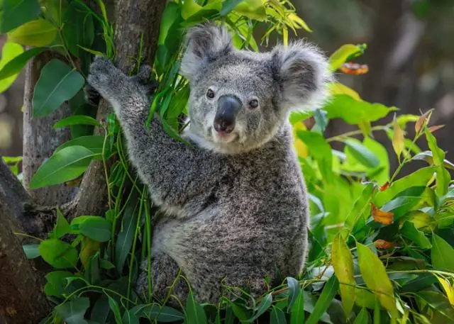 Метаболический синдром обнаружен у многих маленьких детей