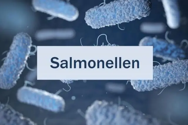 Фульминантный гепатит: симптомы, причины, диагностика и лечение