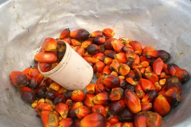 Расстройства группы С: что это такое и как их лечить