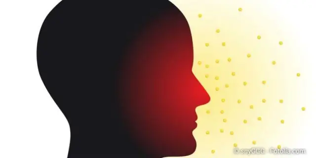 Экзема Сопутствующие заболевания: пищевая аллергия, астма, депрессия, тревога