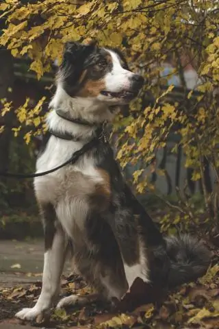 Моя повседневная жизнь с псориатическим артритом