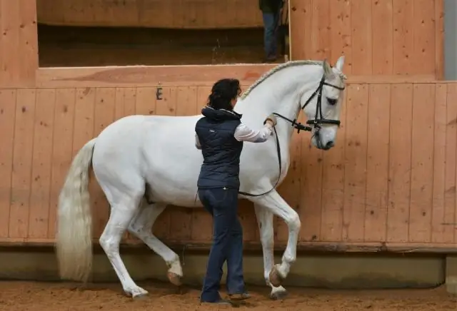 Засыпаете на работе?