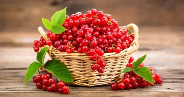 Черная смородина: использование и риски