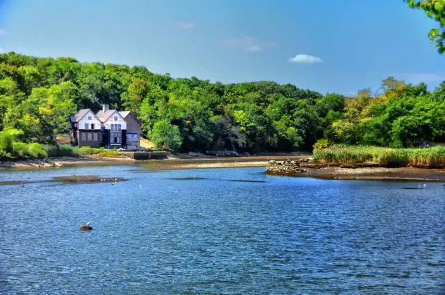 Какова минимальная суточная потребность Министерства сельского хозяйства США в калии?