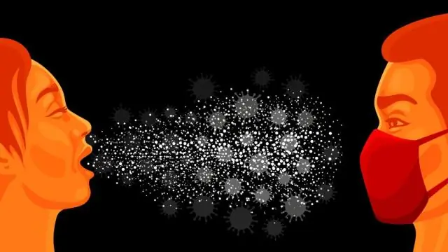 Какова роль желтого тела?